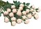 24PCS Vintage Artificial Mini Roses – Champagne Silk Fake Flowers with Long Flexible Stems for DIY Bouquets, Wedding Centerpieces, Party & Home Decor